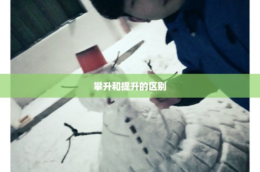 攀升和提升的区别