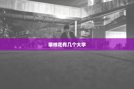 攀枝花有几个大学