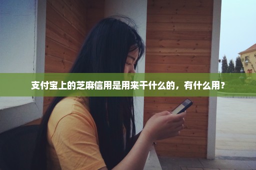 支付宝上的芝麻信用是用来干什么的，有什么用？