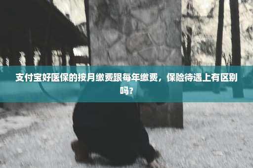 支付宝好医保的按月缴费跟每年缴费，保险待遇上有区别吗？
