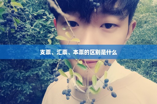 支票、汇票、本票的区别是什么