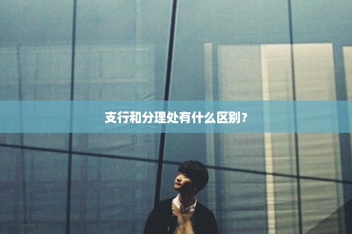 支行和分理处有什么区别？