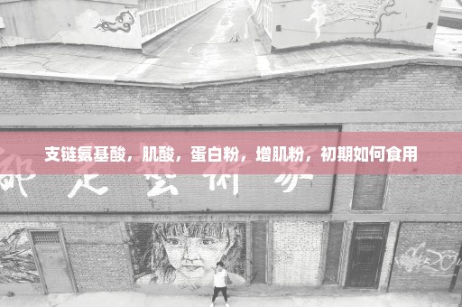 支链氨基酸，肌酸，蛋白粉，增肌粉，初期如何食用