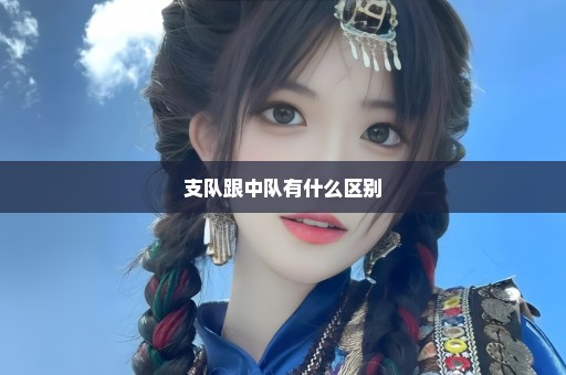 支队跟中队有什么区别