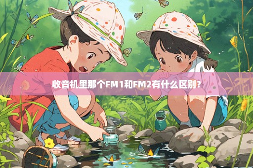 收音机里那个FM1和FM2有什么区别？