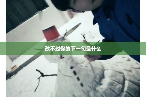 改不过你的下一句是什么