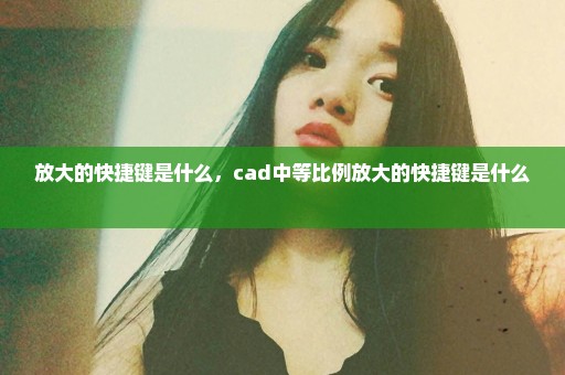 放大的快捷键是什么，cad中等比例放大的快捷键是什么 