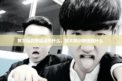 放大键的快捷键是什么，放大放小快捷键什么 