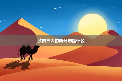 政协三大协商计划指什么