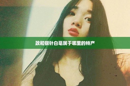 政和银针白毫属于哪里的特产