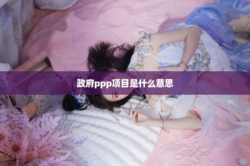政府ppp项目是什么意思