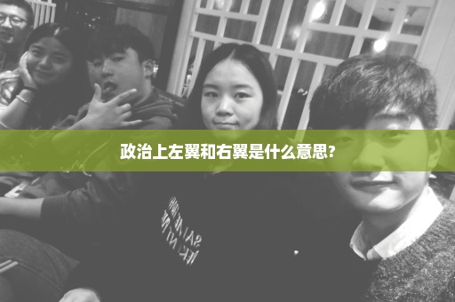 政治上左翼和右翼是什么意思?