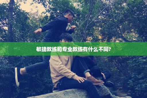 敏捷教练和专业教练有什么不同?