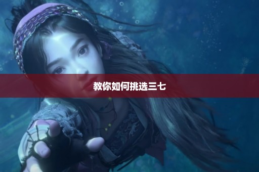 教你如何挑选三七