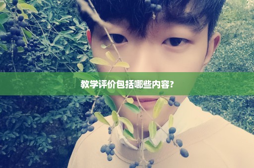 教学评价包括哪些内容?
