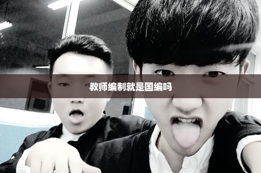 教师编制就是国编吗