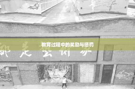 教育过程中的奖励与惩罚