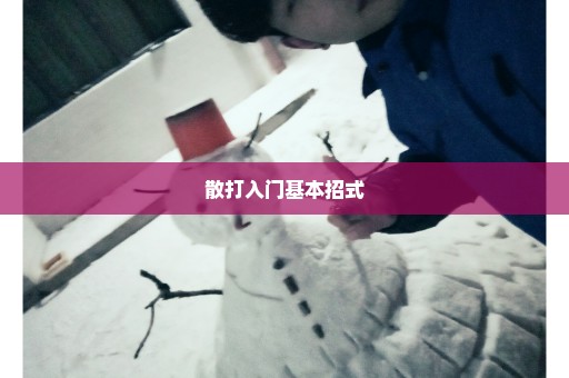 散打入门基本招式