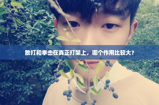 散打和拳击在真正打架上，哪个作用比较大？