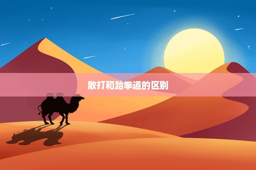 散打和跆拳道的区别