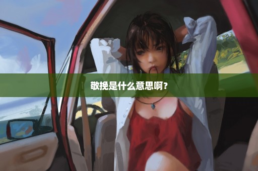 敬挽是什么意思啊？