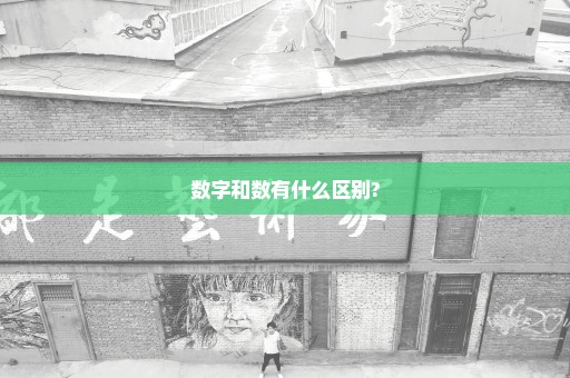 数字和数有什么区别?