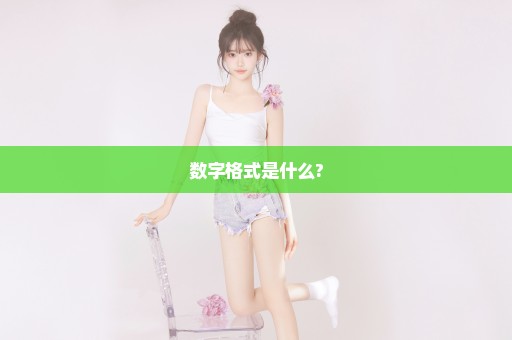 数字格式是什么?