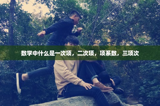 数学中什么是一次项，二次项，项系数，三项次