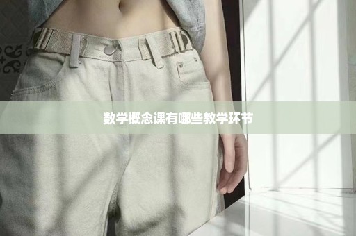 数学概念课有哪些教学环节