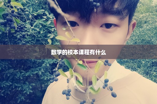 数学的校本课程有什么