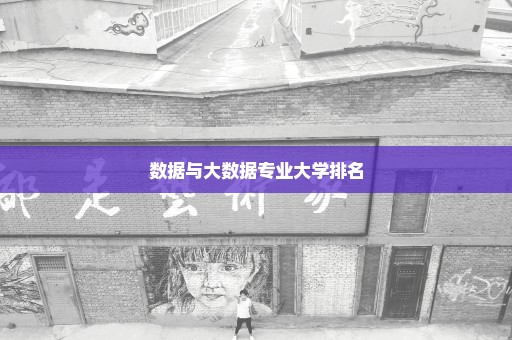 数据与大数据专业大学排名