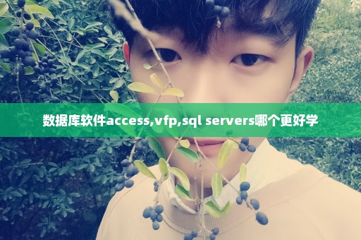 数据库软件access,vfp,sql servers哪个更好学