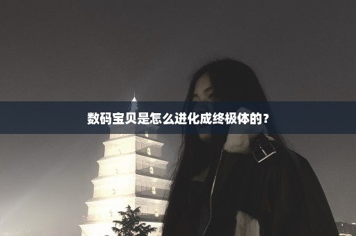 数码宝贝是怎么进化成终极体的？
