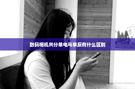 数码相机共分单电与单反有什么区别