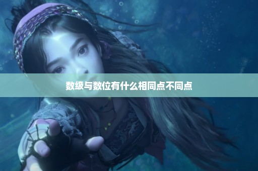数级与数位有什么相同点不同点