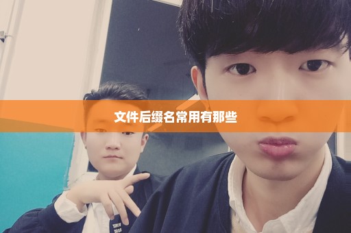 文件后缀名常用有那些
