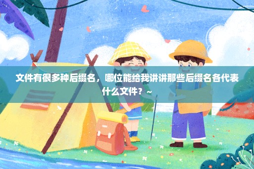 文件有很多种后缀名，哪位能给我讲讲那些后缀名各代表什么文件？~