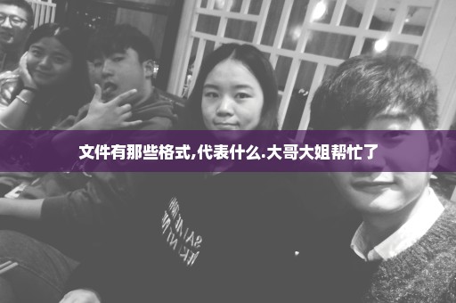 文件有那些格式,代表什么.大哥大姐帮忙了