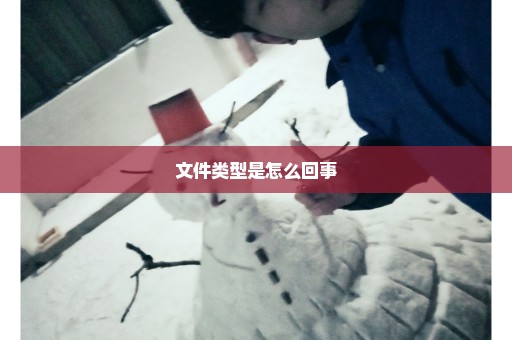 文件类型是怎么回事