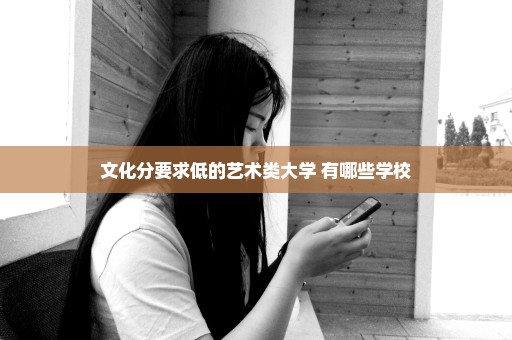 文化分要求低的艺术类大学 有哪些学校