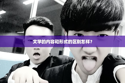 文学的内容和形式的区别怎样？