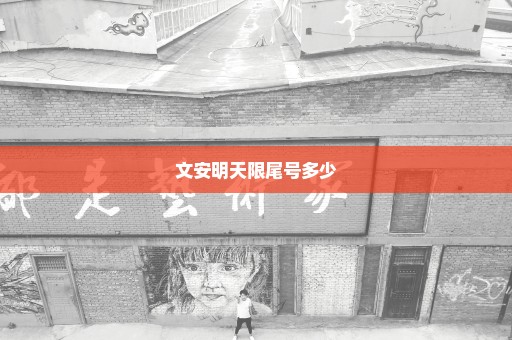 文安明天限尾号多少