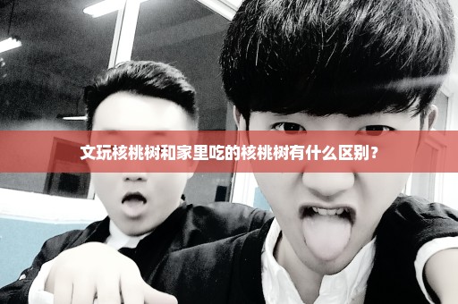 文玩核桃树和家里吃的核桃树有什么区别？