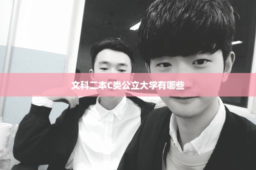 文科二本C类公立大学有哪些