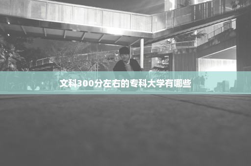 文科300分左右的专科大学有哪些