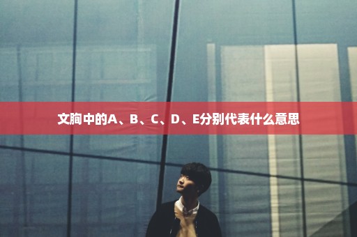 文胸中的A、B、C、D、E分别代表什么意思
