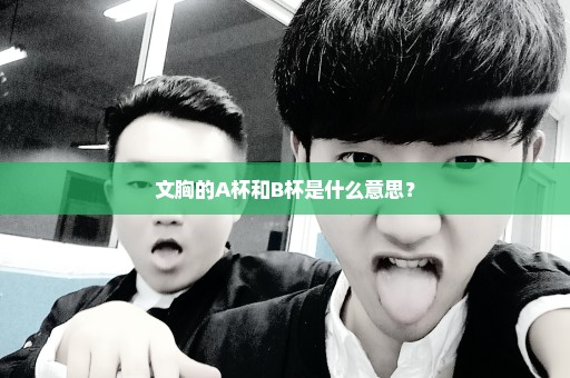 文胸的A杯和B杯是什么意思？
