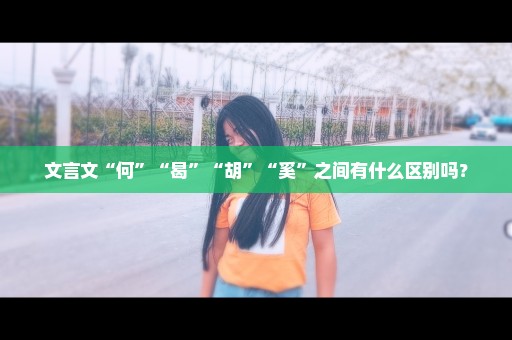 文言文“何”“曷”“胡”“奚”之间有什么区别吗？