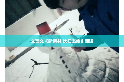 文言文《新唐书.狄仁杰传》翻译