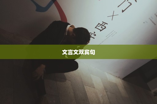 文言文双宾句